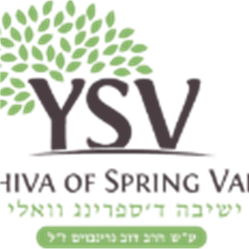 Rabbi Landwirt’s Class (Yeshiva Spring Valley)